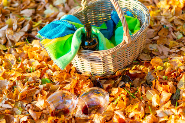 a cozy orange autumn picnic in the park, a warm autumn evening.basket with a blanket, wine and glasses on golden orange autumn leaves. - 7676 stock-fotos und bilder