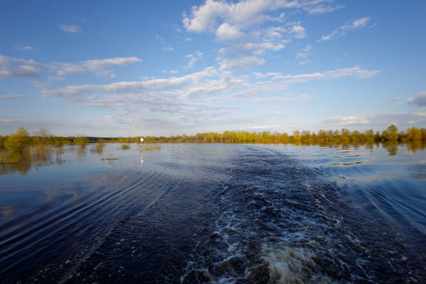 summer landscape with the river, forest and blue sky