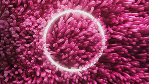 istock 3d render of pink anemone algae swaying underwater with neon circle 2045054659