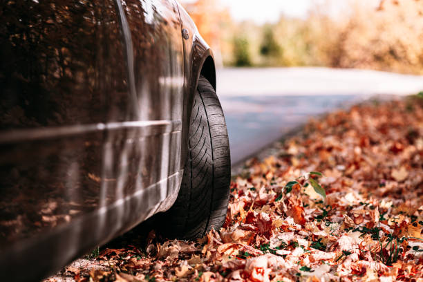 istock Car on asphalt road on autumn day at forest or park.Selective focus,copy space.Toned. 2045057814