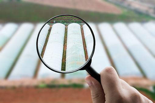 A magnifying glass focusing on agricultural greenhouses