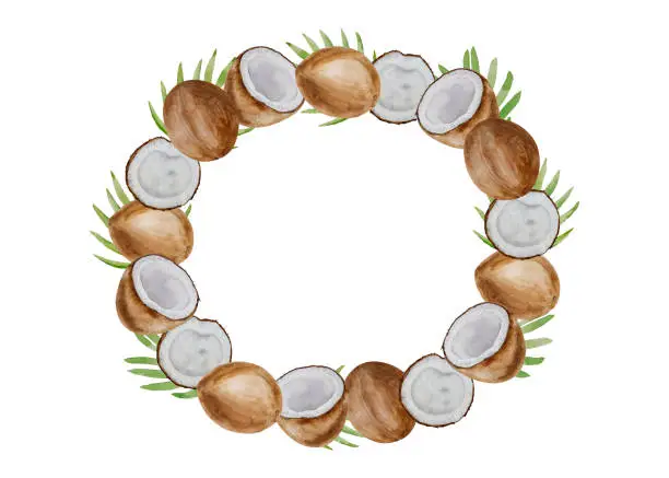 Vector illustration of Vector and watercolor round frame made of coconuts halves and parts, palm leaves, hand painted on paper, white background