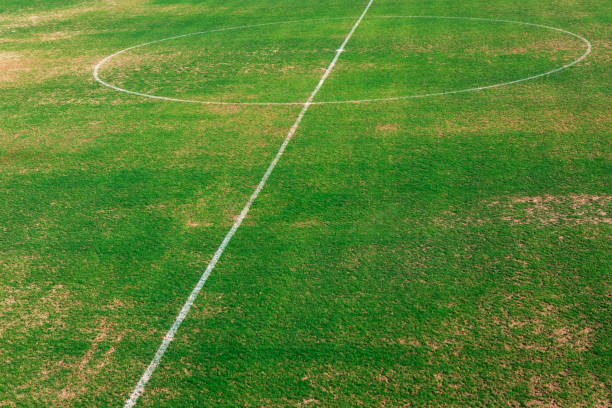 Soccer field with green grass and white line for sport background.