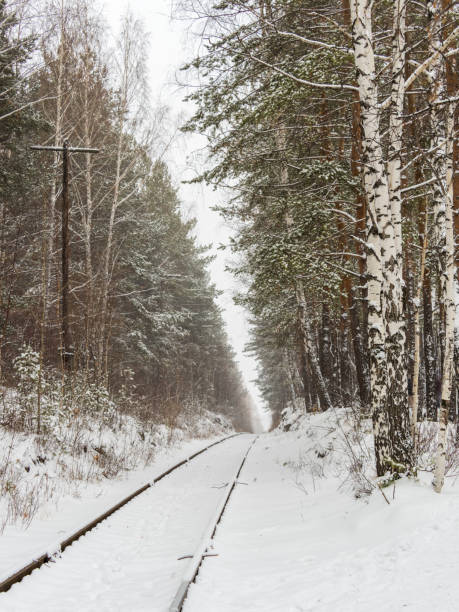 Old railway in winter forest. Frozen in winter railway line between forests. Railway in snow. Winter landscape with empty rail tracks