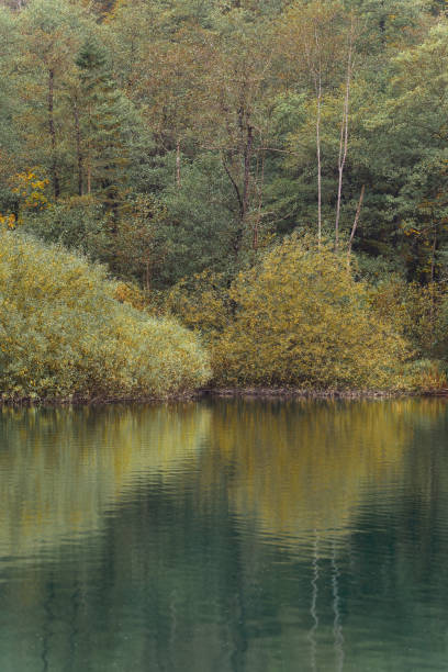 istock a large body of water surrounded by trees on both sides 2045176304