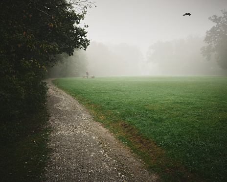 The pathway and a field in a park on a foggy day