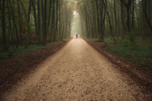 istock a man walking down a dirt road between tall trees and grass 2045177357