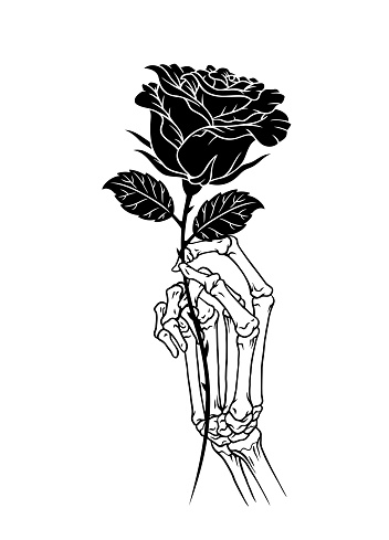 Vector of Hand Drawn of Hand Holding a Rose Isolated