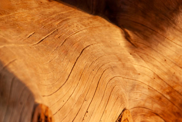 Naturel wooden nature texture background