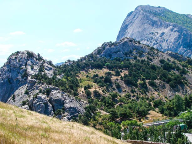 Stone mountain with abundant lush greenery in bright daylight. Picturesque rocky landscape.