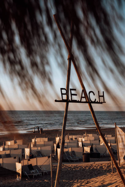 Discover the stunning beauty of Sylt Island through these captivating photos