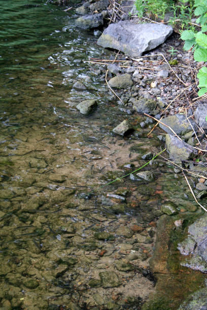 istock A beautiful little water edge 2045288651