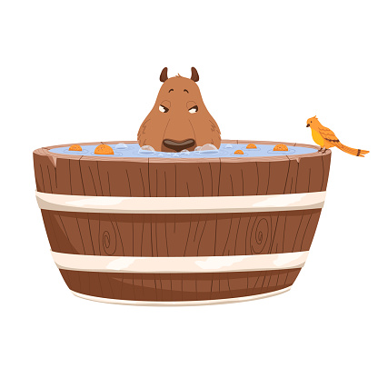 Vector funny capybara in bath with oranges. Cartoon style for sticker, print, maskot. Trendy design. White background. Isolated.