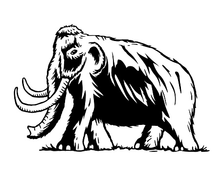 Hand drawn mammoth illustration