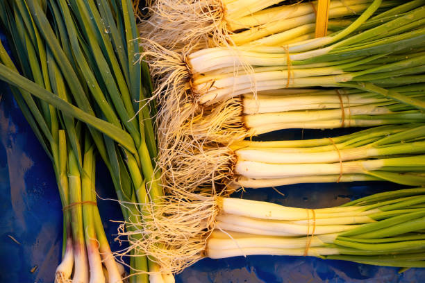 istock Fresh green onion on blue background, close up 2045308670