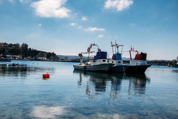 Derelict ships standing in the harbor