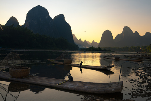 Yangshuo County, Guilin City, Guangxi, China - October 23, 2023: Two cormorants rest on traditional bamboo fishing boats moored on the edge of the Li River ar dusk