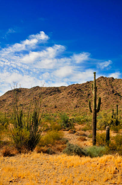 The Vast Sonora desert San Tan mountains in central Arizona USA on a late Spring morning