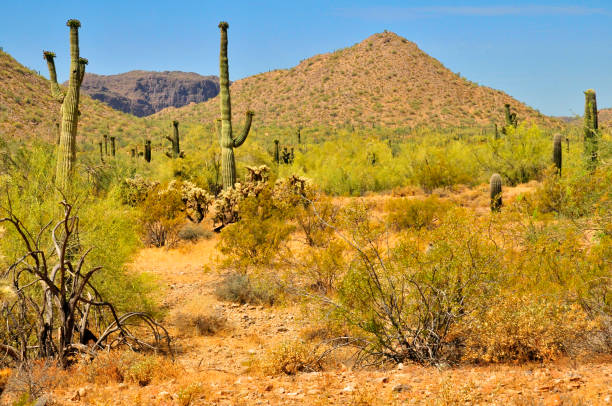 istock San Tan Mountains Sonora Desert Arizona 2045374798
