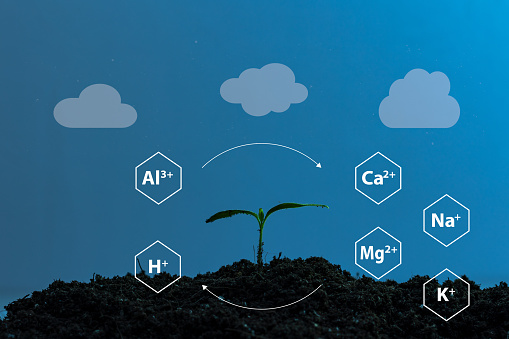 Chemical formula surrounding just emerged plant representing ions exchanges in the soil