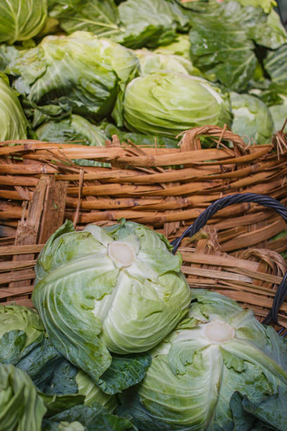 Vegetables - cabbages in a market's bangkok, Thailand.