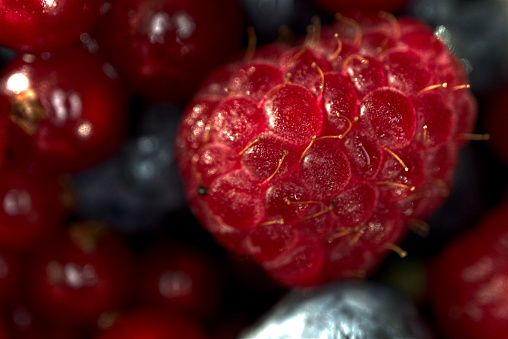 A close-up of raspberries, currants, and blueberries from Italy