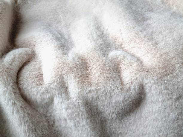 istock Soft folds of fluffy fur 2045437498