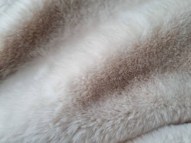 istock Close-up of fur folds 2045439961