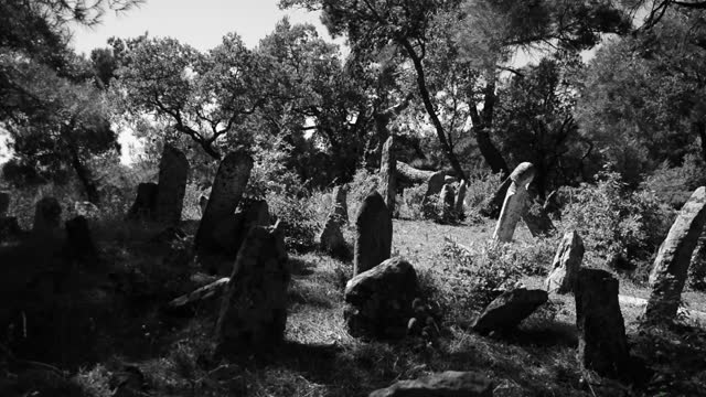 Cemetery in a meadow - black and white