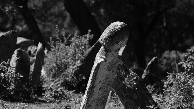 Grave in a meadow - black and white