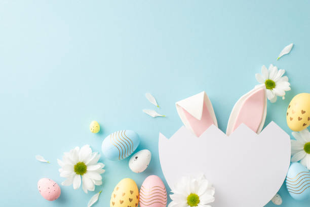 istock Whimsical Easter imagination concept. Top view of cute bunny ears visible through split egg, with chamomiles and multicolored eggs on sky-blue surface, providing area for special messages or advert 2045457171