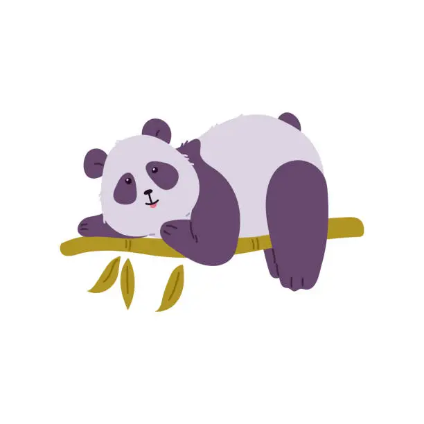 Vector illustration of Cute lazy panda on a bamboo branch, isolated flat vector illustration.