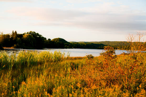 Tranquil lakeside landscape at golden hour in Empire, Michigan. Serene waters mirror the pastel sky as wild grasses sway, capturing the untouched beauty of rural nature.