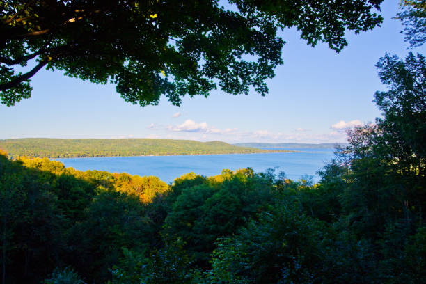 istock Serene Summer Lakeside View with Dense Green Forest 2045481616