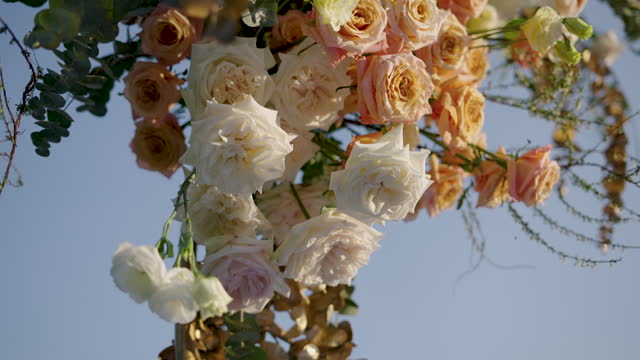 Beautiful fresh flowers rose festive arch wedding decorations.