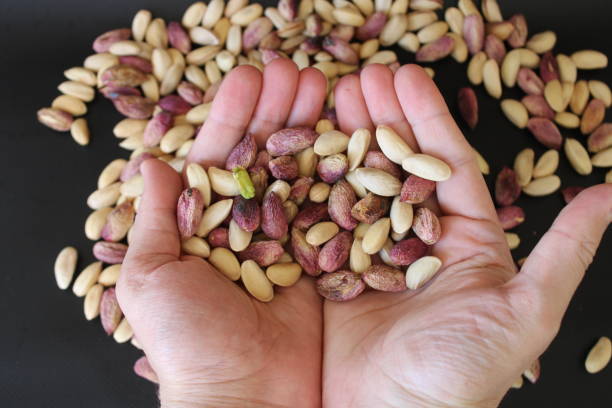 istock Fresh Gaziantep pistachios in man's hand 2045504163