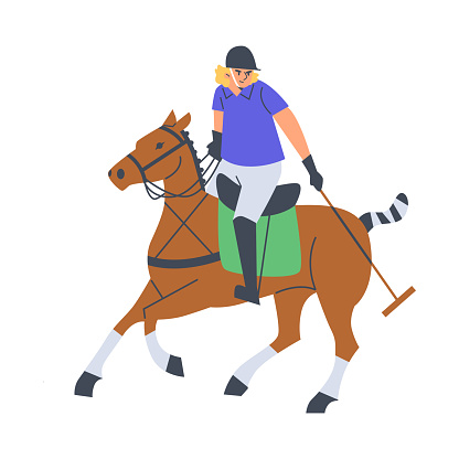 Calm moment in polo. Vector illustration of a player on a chestnut horse, holding a polo mallet, ready for the game, against a white backdrop.