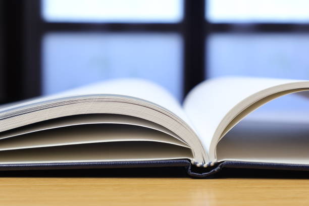 istock Isolated agenda on desk and close-up and blank sheets 2045581467