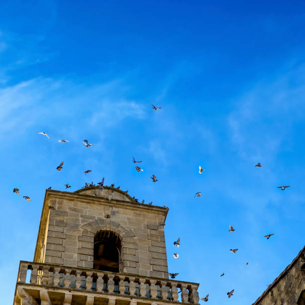 istock Architectural details from ancient city Arles 2045596278