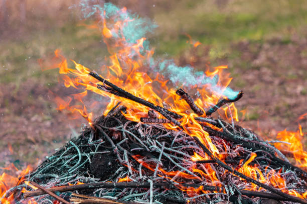 istock Burning firewood in a campfire, close-up 2045596288