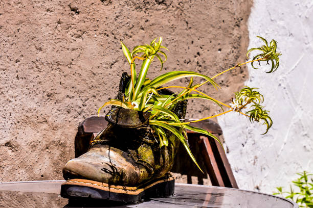 istock Strange Unusual Plant Pot 2045596618