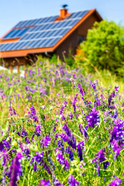House with solar panels on a summer day