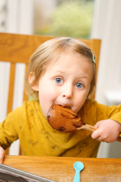 Cute 3 year old girl, making her first chocolate cupcakes at a kitchen table and licking the left over mixture from a wooden spoon