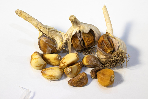 Garlic cloves are susceptible to spoilage during storage.