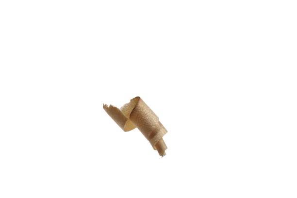 Wood shavings naturally curled after a tool on a white background.