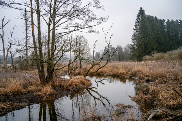 istock River Ourthe in the Ardennes, Belgium 2045654731