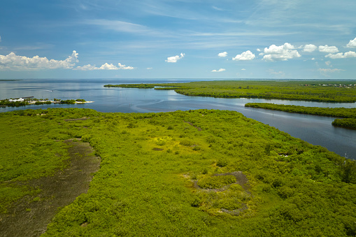 Overhead view of Everglades swamp with green vegetation between water inlets. Natural habitat of many tropical species in Florida wetlands.