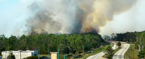 Fire department firetrucks extinguishing wildfire burning severely in Florida jungle woods. Emergency service vehicles trying to put down flames in forest.
