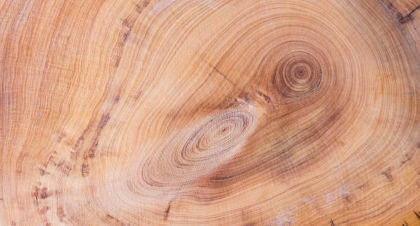 istock round wood textured background for decoration 2045725743