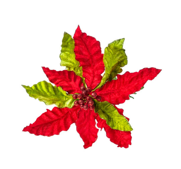 istock Christmas Tree flower Decoration red Glossy Ornament Set White Isolated 2045725758
